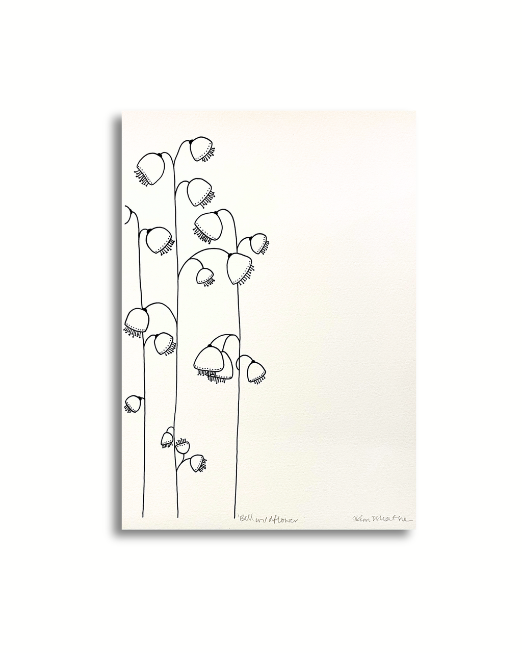 Wildflower Bell - Black/White Ink Art PRINT — Kim Miatke Art | Calla Collective