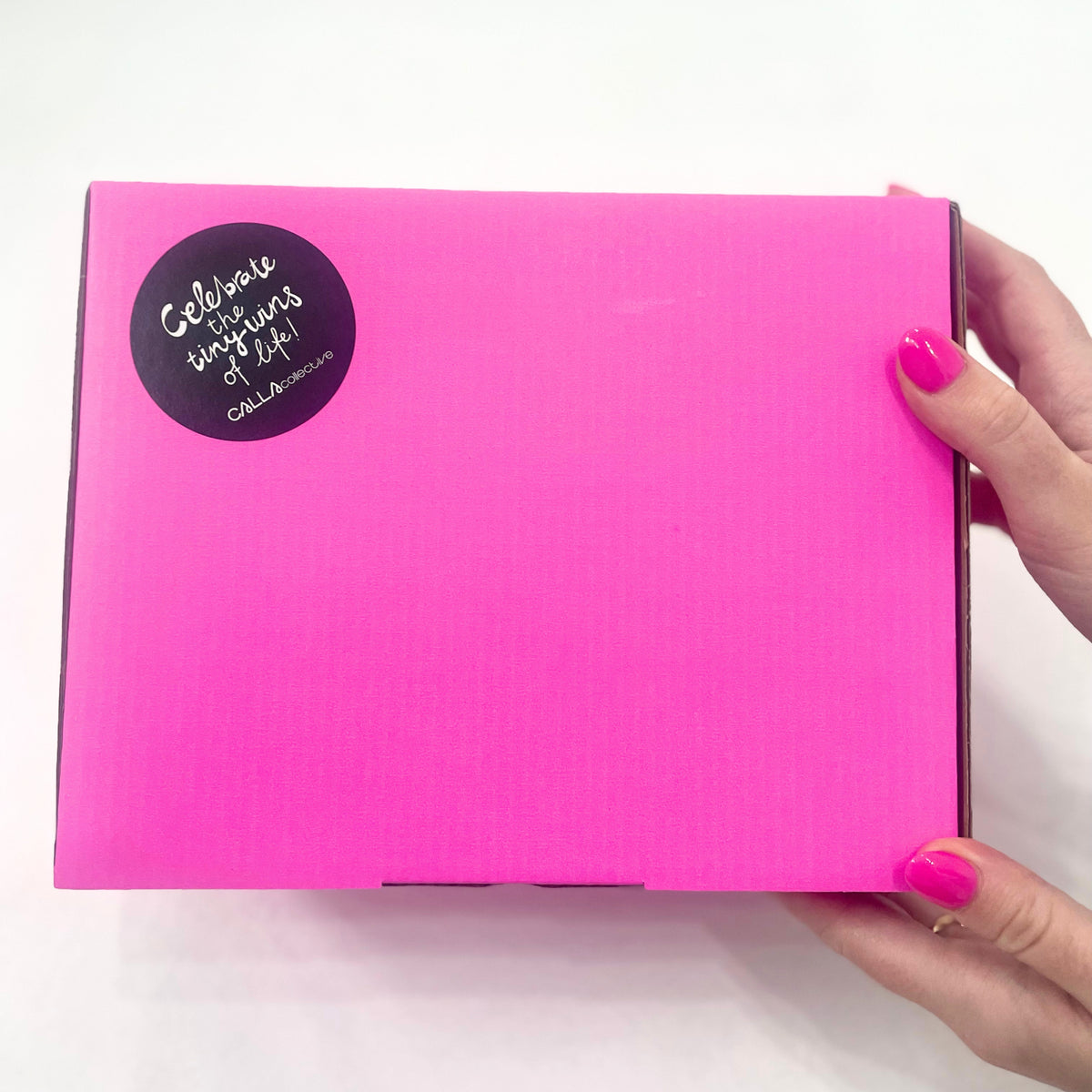 The Tiny Wins Bundle – Complete Lifestyle Collection