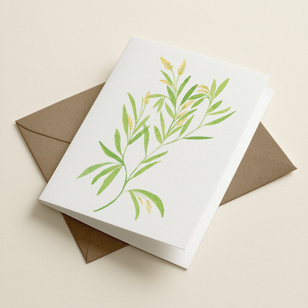 Wattle - Botanical Greeting Card