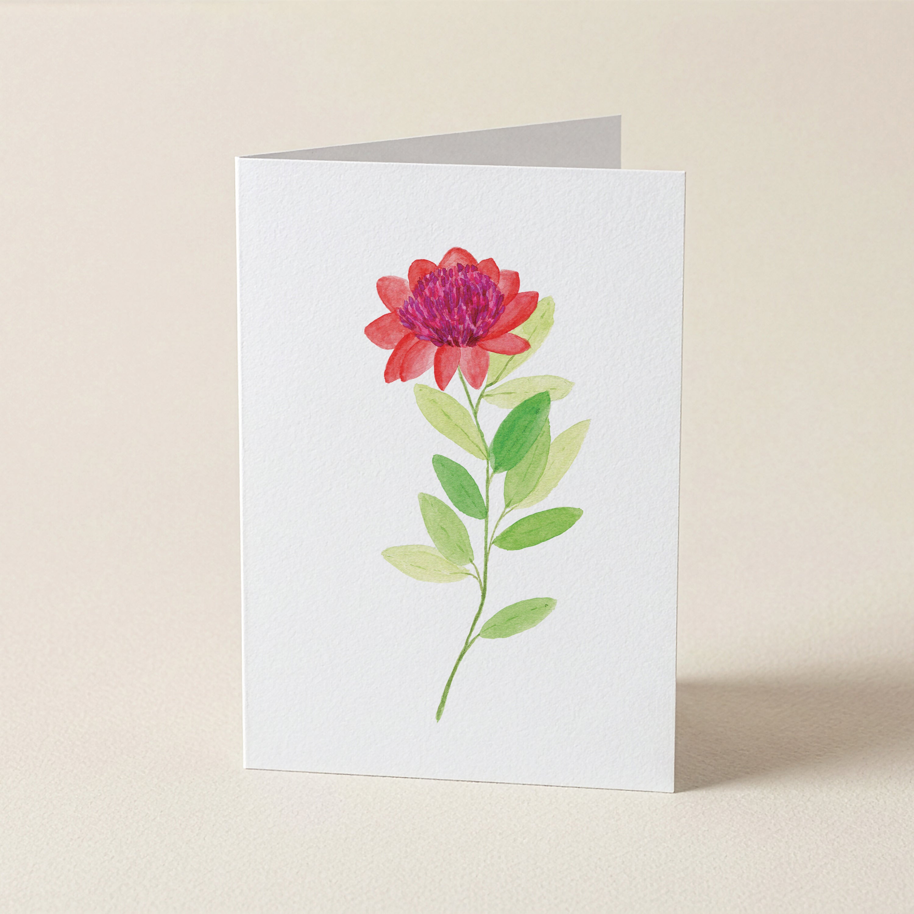 Coral Bloom - Botanical Greeting Card