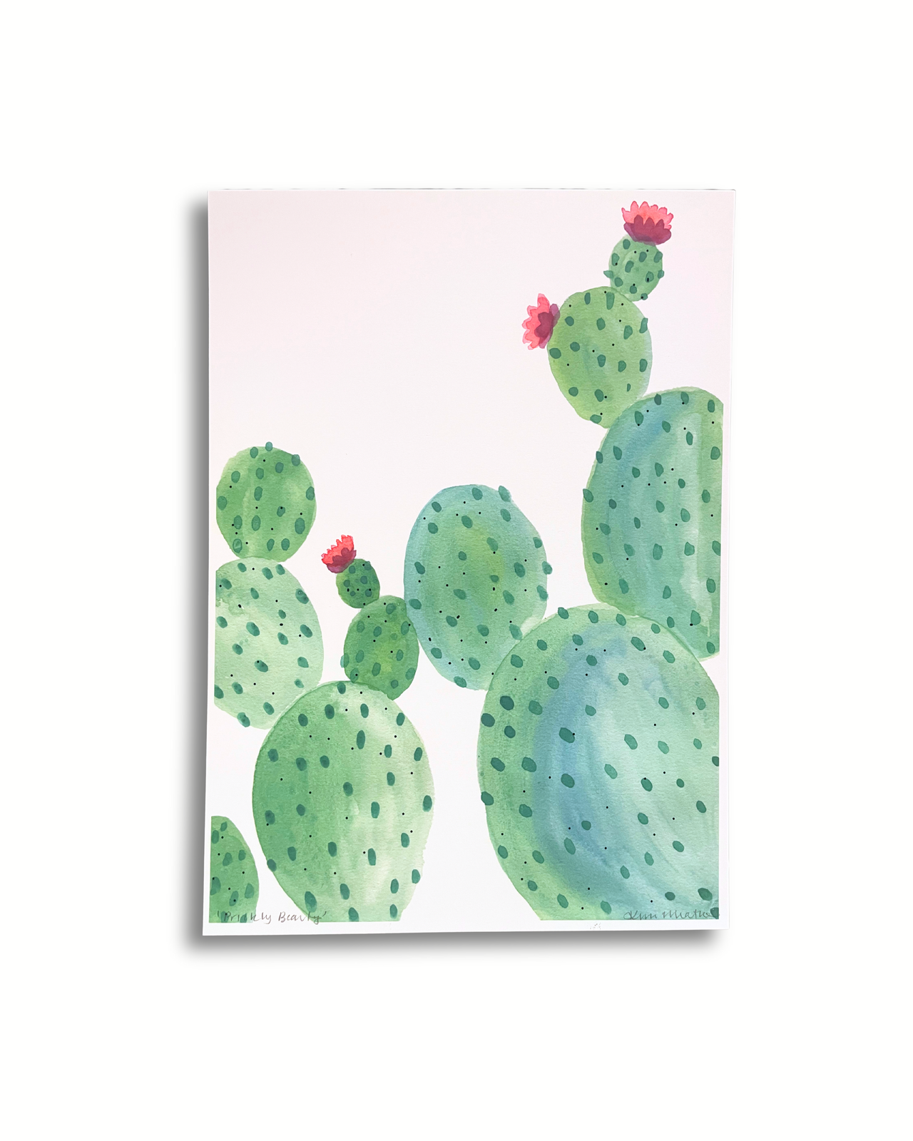Prickly Beauty - Floral Watercolour Art PRINT — Kim Miatke Art | Calla Collective