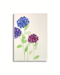 Hydrangea - Floral Watercolour Art PRINT — Kim Miatke Art | Calla Collective