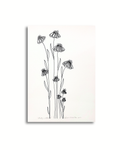 Pretty Wildflower - Black/White Floral Art PRINT — Kim Miatke Art | Calla Collective