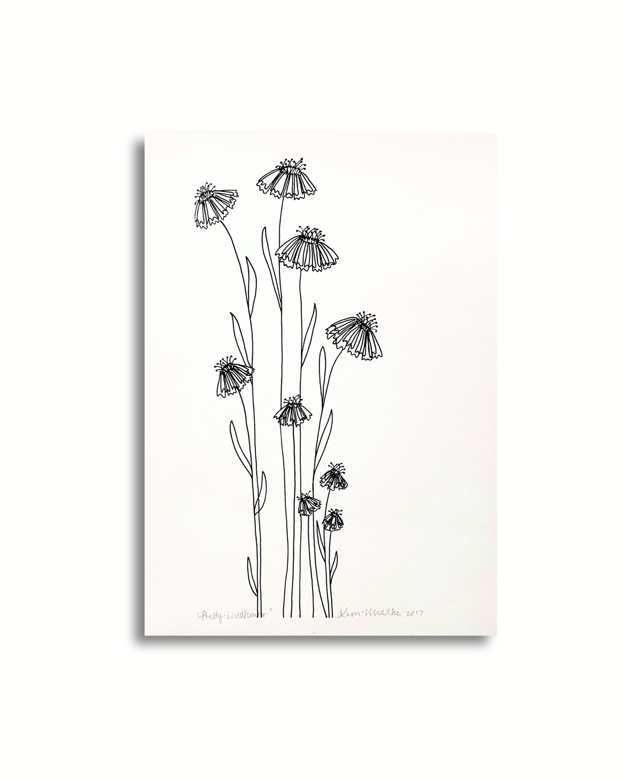 Pretty Wildflower - Black/White Floral Art PRINT — Kim Miatke Art | Calla Collective