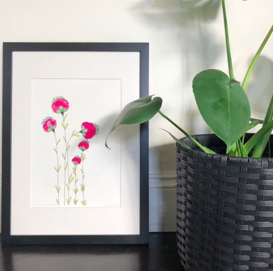 Bursting Pink — Kim Miatke Art | Calla Collective