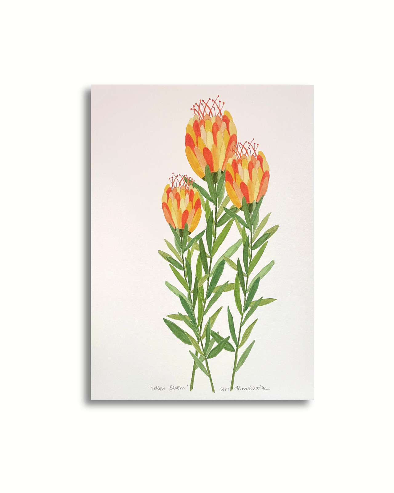 Botanical Yellow Bloom — Kim Miatke Art | Calla Collective
