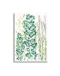 Foliage Musings - Floral Watercolour ART PRINT — Kim Miatke Art | Calla Collective