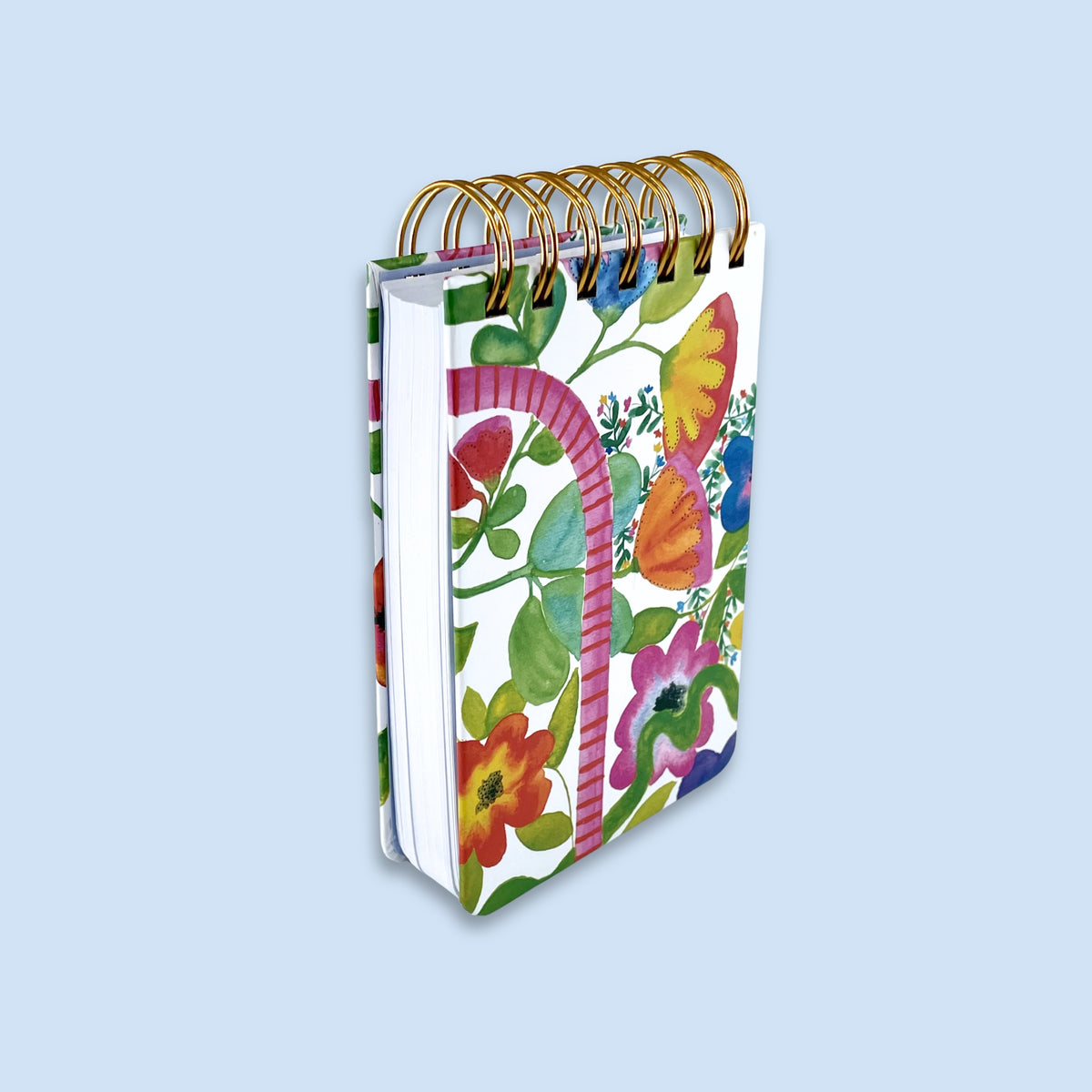 Pathways Collection Bundle