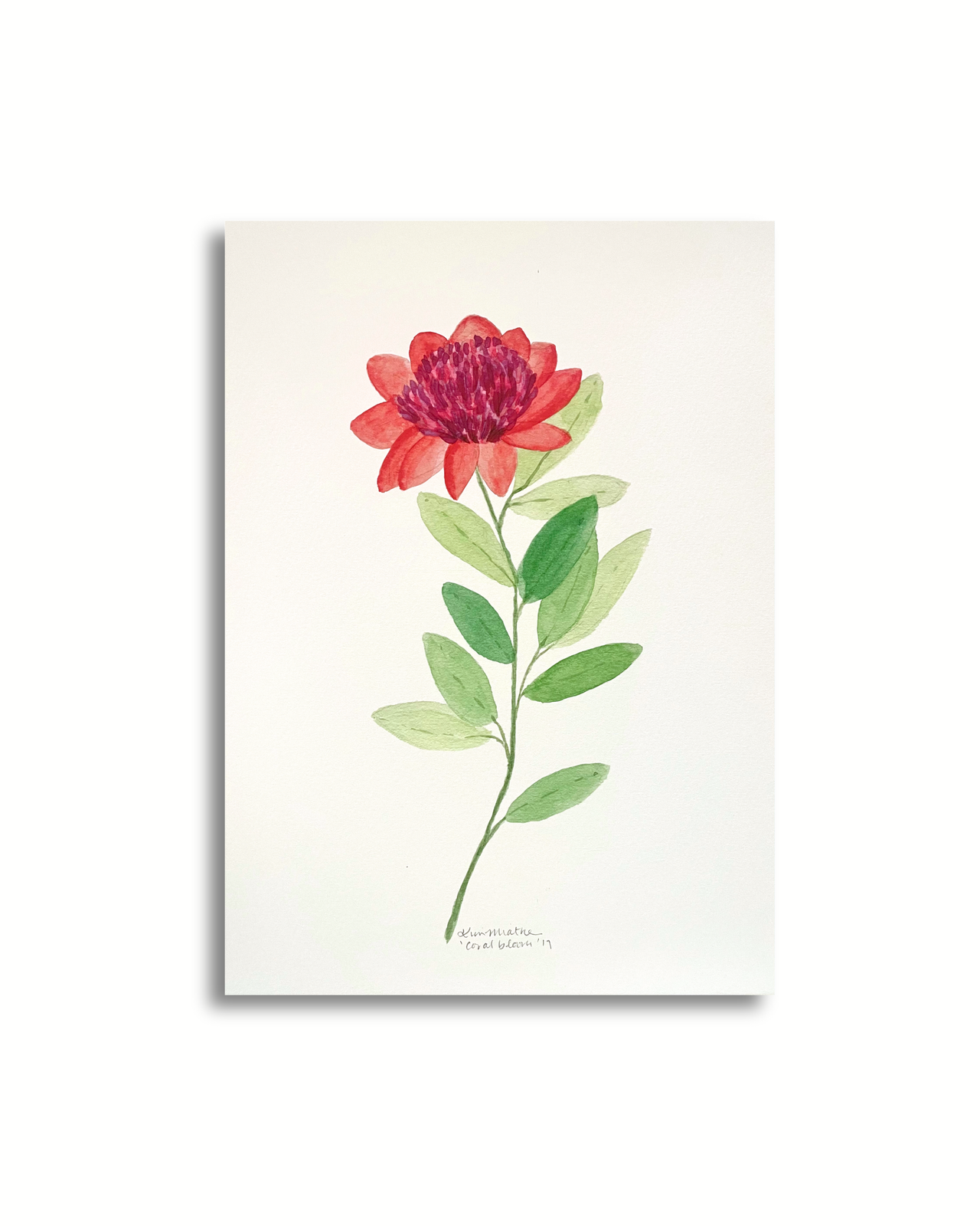 Botanical Coral Bloom — Kim Miatke Art | Calla Collective