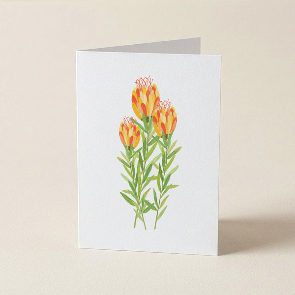 Kim Miatke Floral Cards